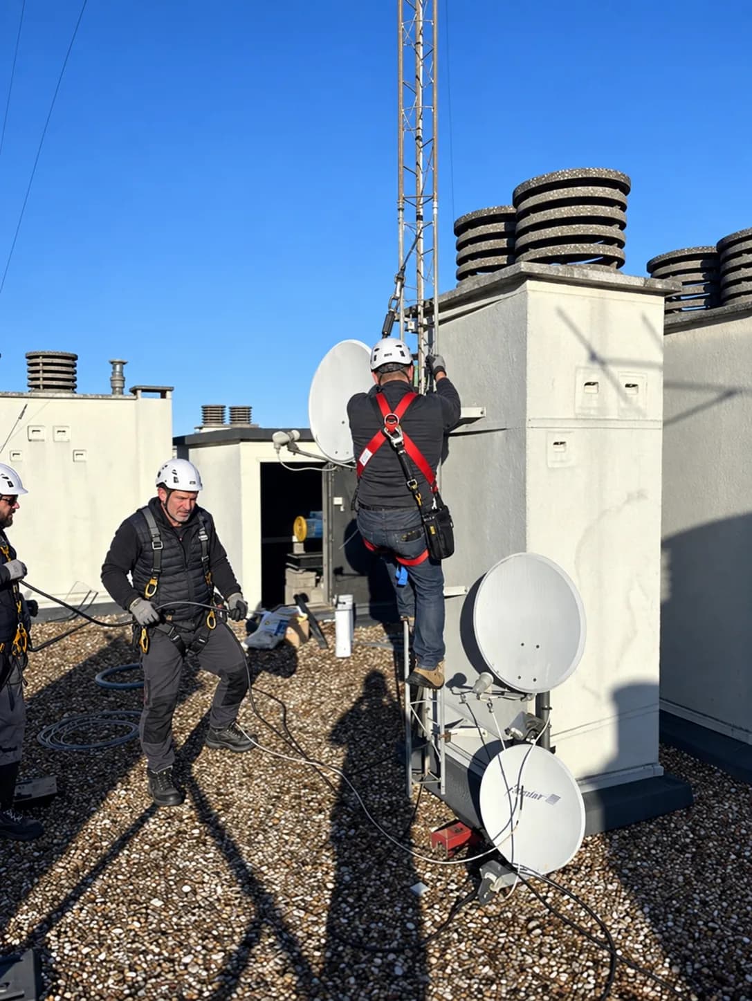 Antennistes TELEANTEN intervenant sur des paraboles et un mât d'antenne en toiture d'immeuble